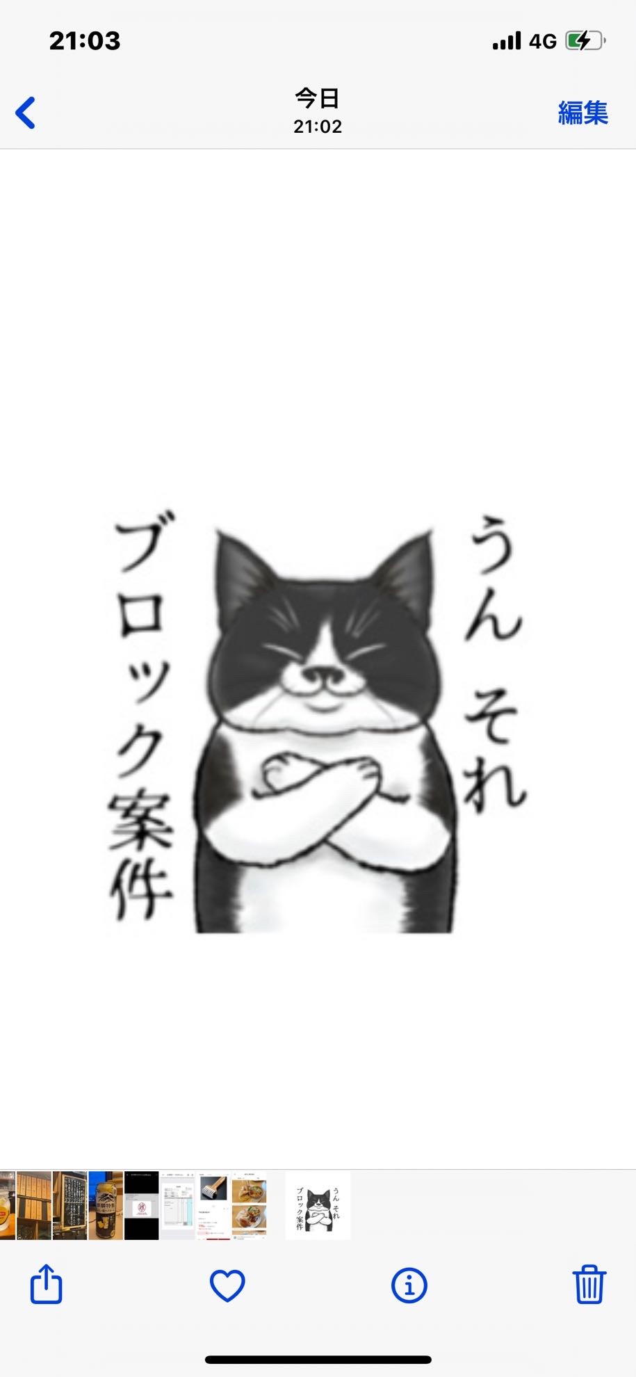 カラシビ猫