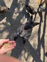 める