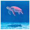 海亀仙人