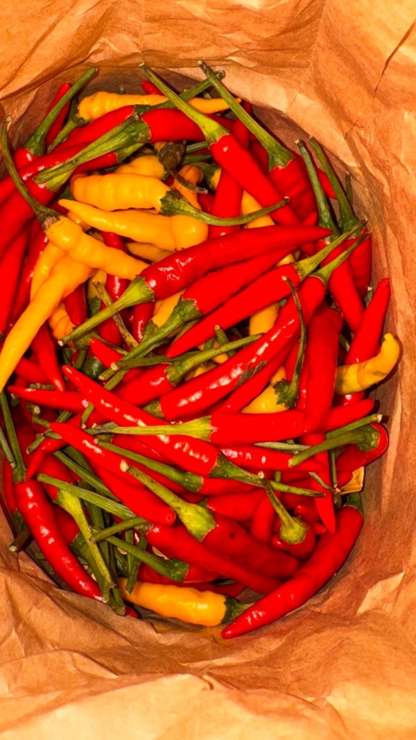 🌶️スパイスと唐辛子の旅🌶️