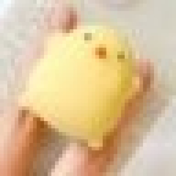 さかなたべたい