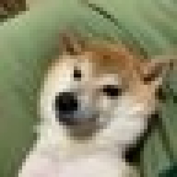 しば犬のりんご