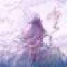 aster