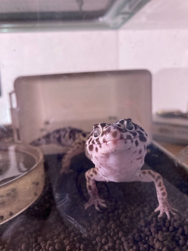 そうすけ