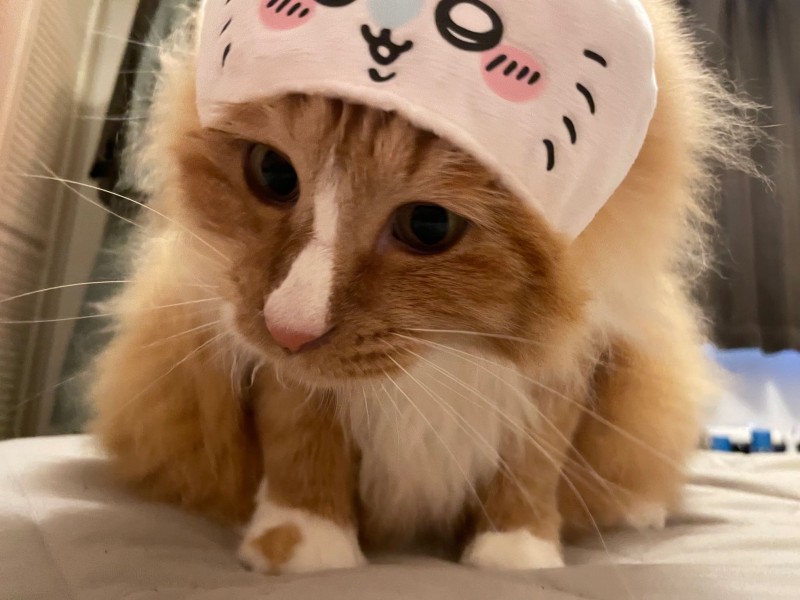 らいもんじ　さねあつ