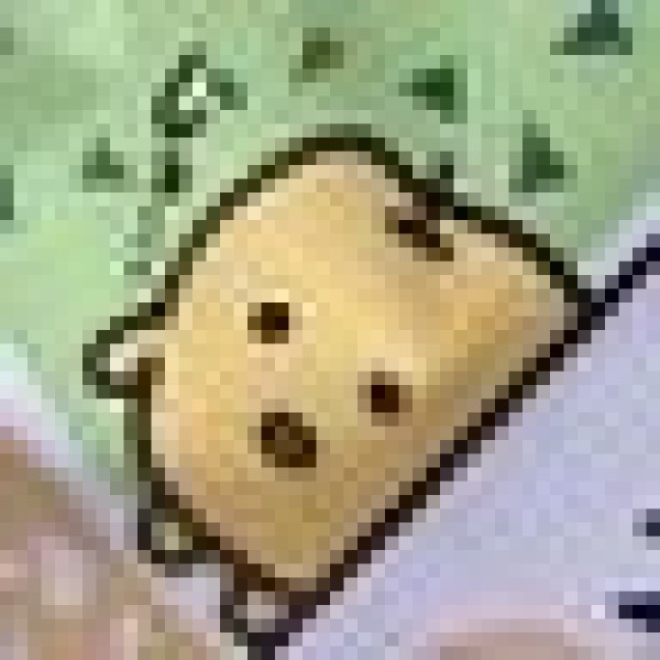 ねっとり照らし