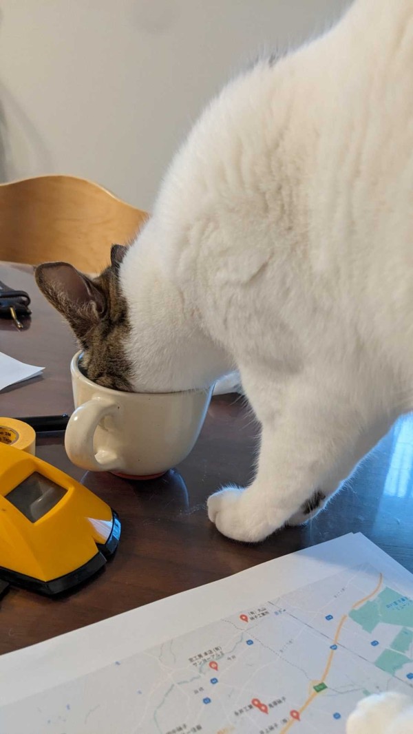 ミニマムザ亮君