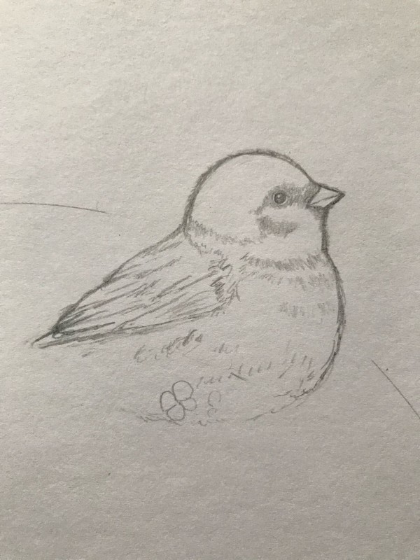 わかすけ