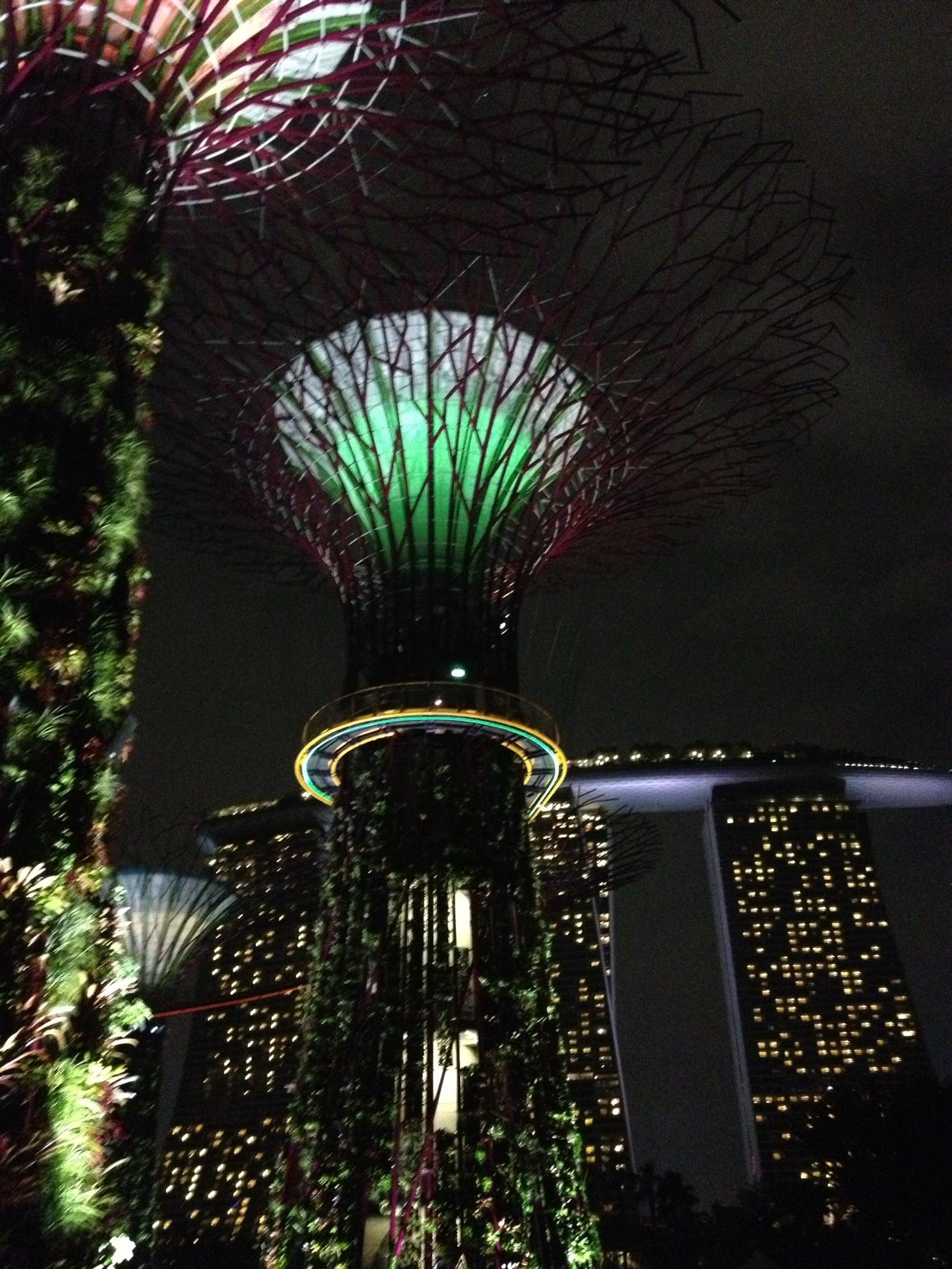 泣きながらマサキ