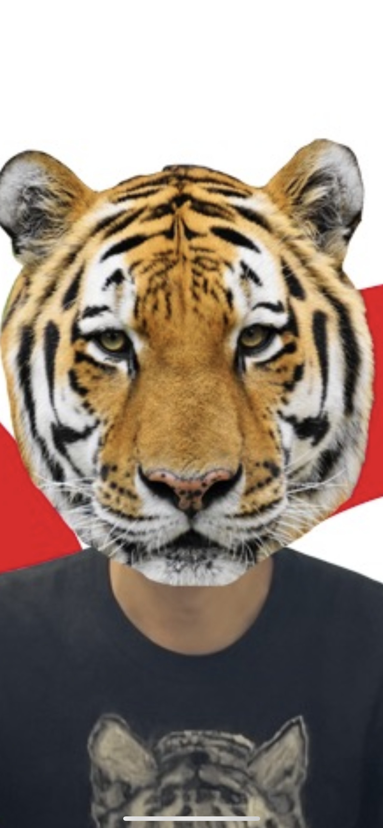 激辛タイガー🐯