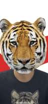 激辛タイガー🐯