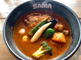 チキン野菜カリー 10倍