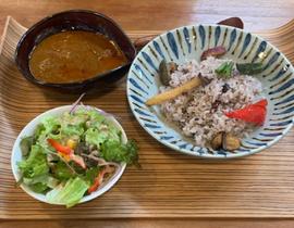 チキンビンダルカレー