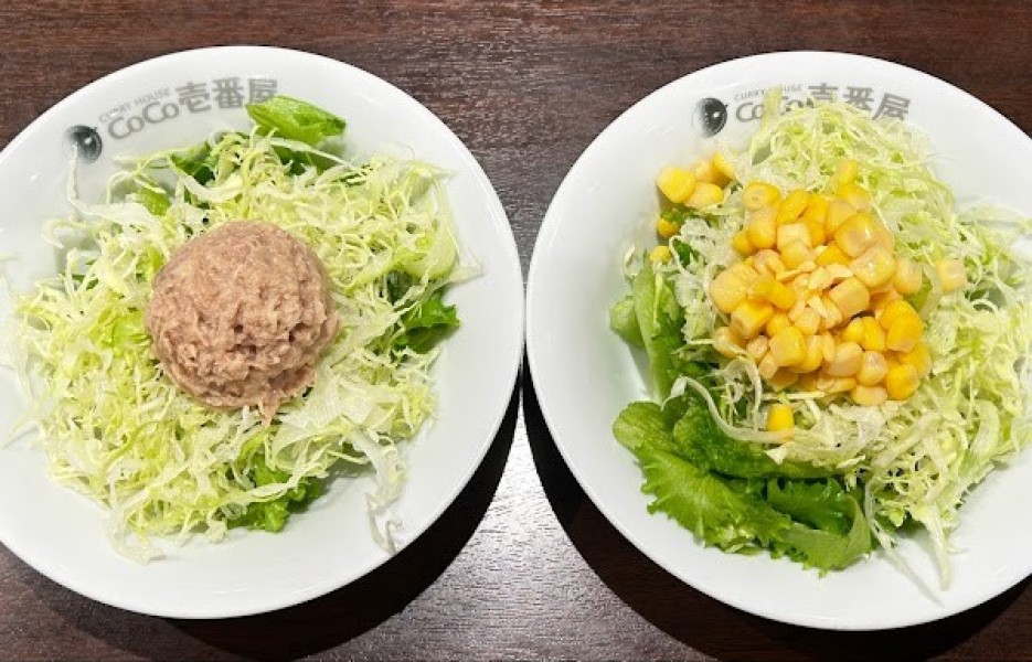 CoCo壱番屋 下妻堀篭店