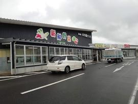 お食事処 あやめ
