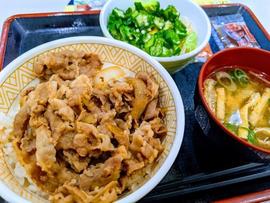 すき家 イオンモール浦和美園店