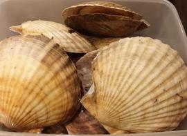 居酒屋まめひろ原宿店