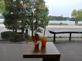 スターバックス コーヒー 福岡大濠公園店
