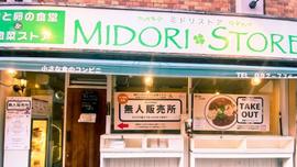 【MIDORI STORE】ミドリストア