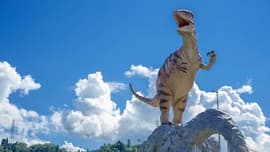 道の駅 恐竜渓谷かつやま