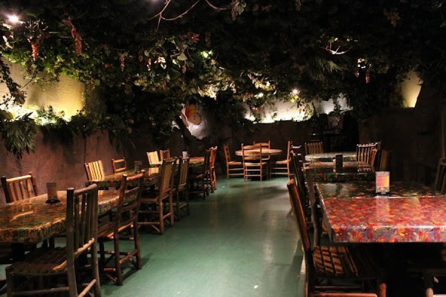 レインフォレスト カフェ・トーキョー