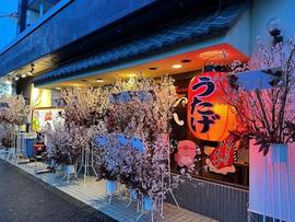 激辛ホルモン うたげ