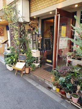 カリーコリー