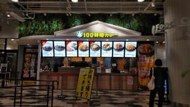 100時間カレー