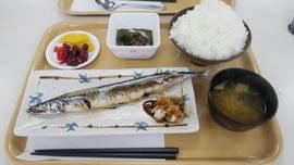 （株）マルイチ産商 キッチンホットシェフ