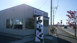 きんとうん