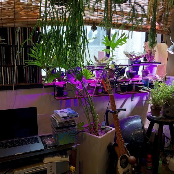 ハイ，ハウ アー ユー