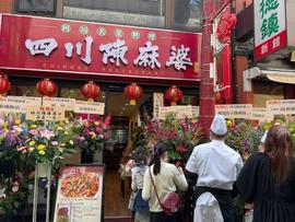 四川陳麻婆