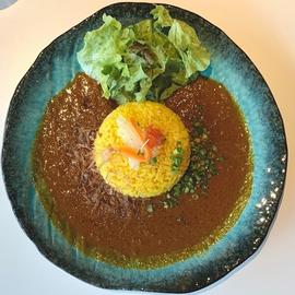 MODECURRY(Sports&Spice MODI)