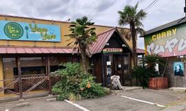 天然カレー市場 ヤムヤム