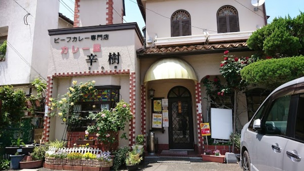 辛樹