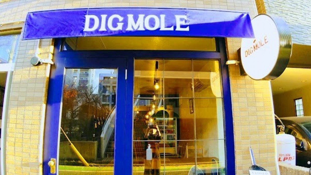 DIGMOLE