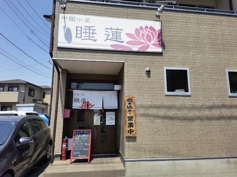 中国小菜 睡蓮