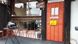 チャング プラント