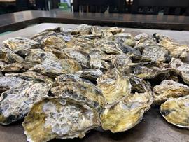 かき焼とみやま