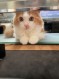 はに