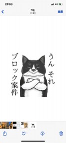 カラシビ猫
