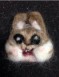 アランちゃんぬ