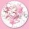 まどか🐰🎀