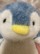まさみティ
