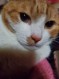 しんちゃん