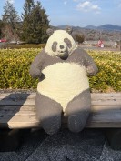 辛いものハンター