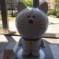 田中めぐみ