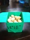 カイパン