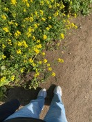 コンダンピョン