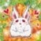 やまぴー